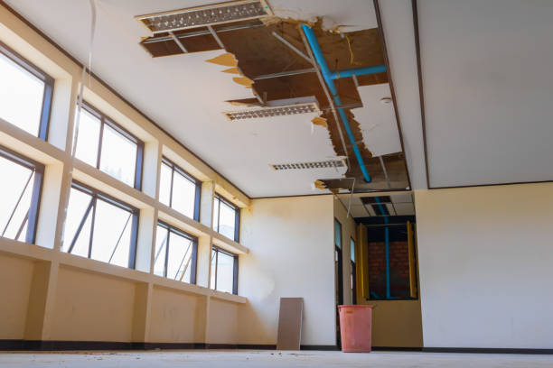 Best Professional water damage repair  in Franklin Grove, IL