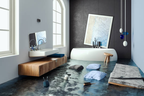 Best Carpet water damage restoration  in Franklin Grove, IL