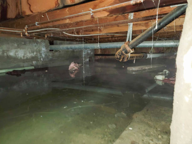 Best Fire Damage Restoration  in Franklin Grove, IL