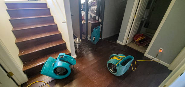 Fire Damage Restoration in IL