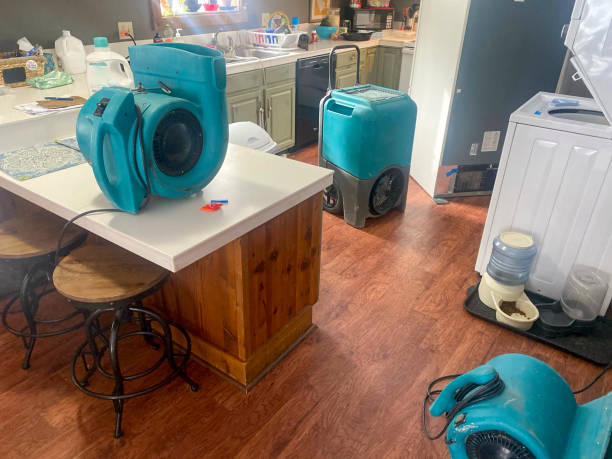 Best Flood damage cleanup  in Franklin Grove, IL