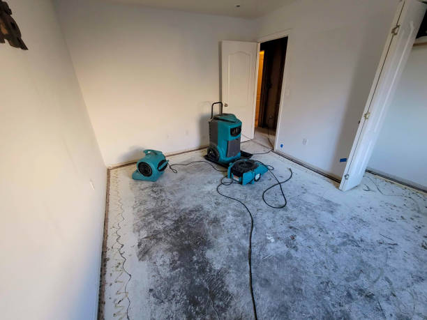 Best Water damage restoration mold remediation  in Franklin Grove, IL