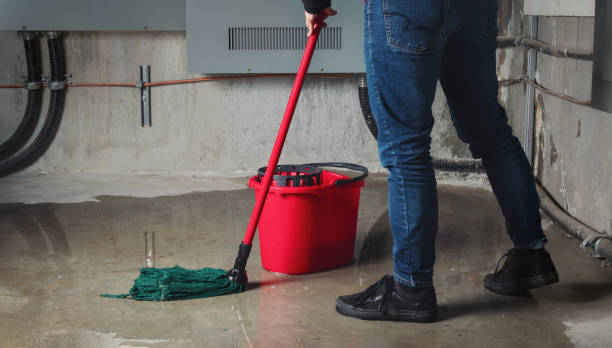 Best Local water damage restoration  in Franklin Grove, IL