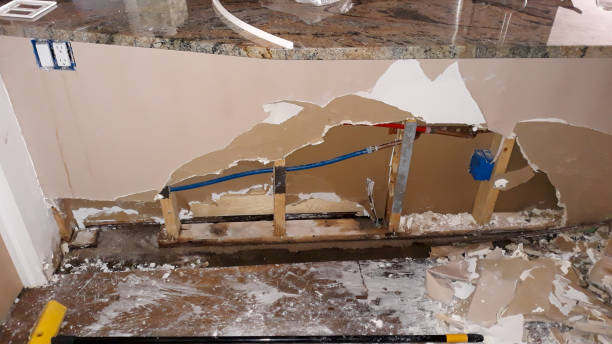 Best Residential water damage restoration  in Franklin Grove, IL