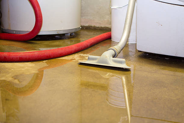 Best Flooded house restoration  in Franklin Grove, IL