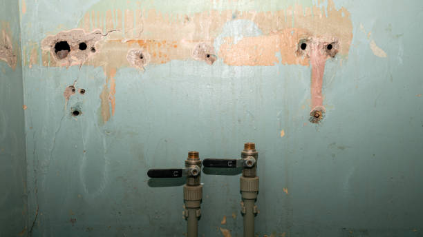 Best Emergency water damage restoration  in Franklin Grove, IL