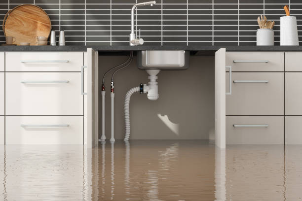Best Water damage contractors near me  in Franklin Grove, IL