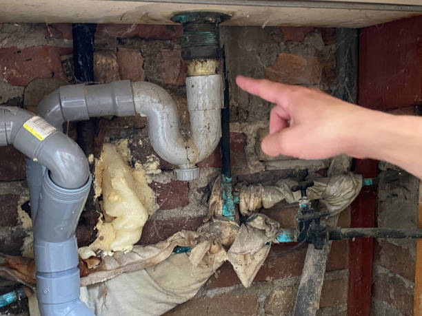 Best Professional water damage repair  in Franklin Grove, IL