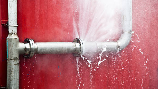Best Flood restoration services  in Franklin Grove, IL