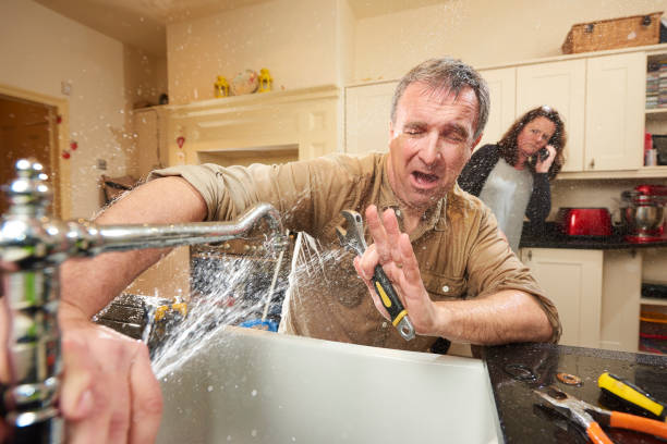Best Water damage restoration near me  in Franklin Grove, IL